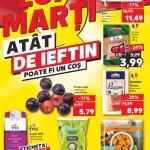 Catalog Kaufland 14 Decembrie